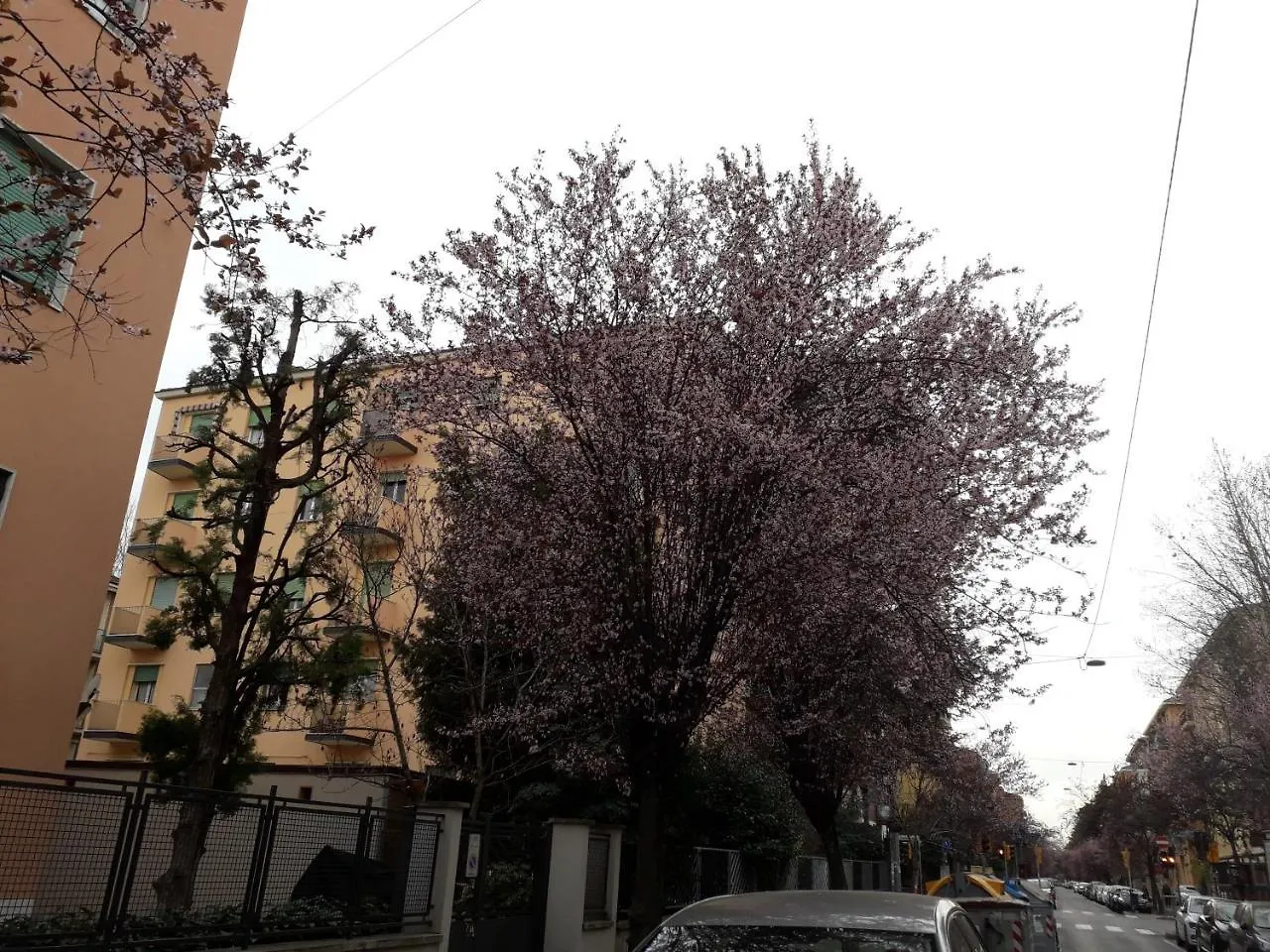 Apartment Sant'Orsola Bologna Appartamento Italy